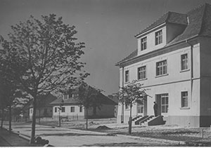 janowska 1928 1