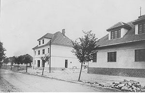 janowska 1928 2