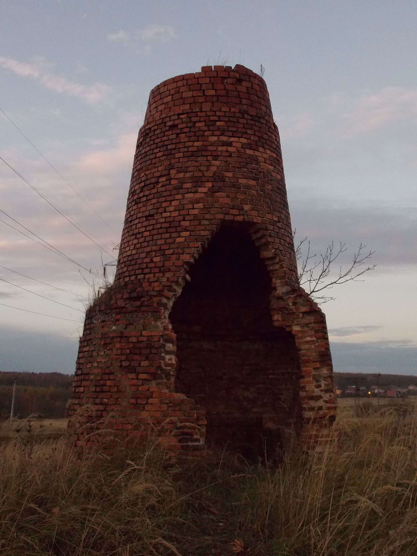 wapiennik rodziny skiba